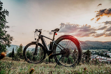 Precios y gamas de bicicletas eléctricas